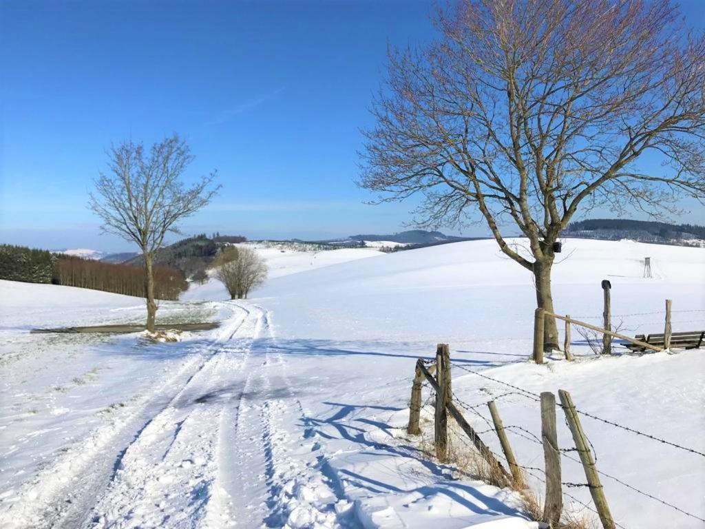 Sauerlaender Henne-Luett Villa Meschede Exteriör bild