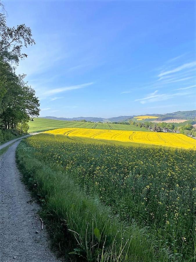 Sauerlaender Henne-Luett Villa Meschede Exteriör bild